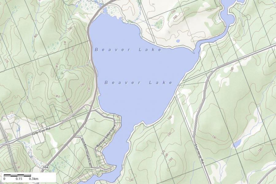 Topographical Map of Beaver Lake in Municipality of Kearney and the District of Parry Sound